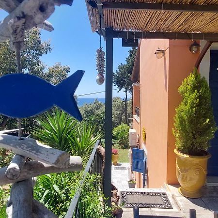 Villa Leena Paramonas  Exterior foto