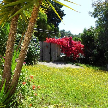 Villa Leena Paramonas  Exterior foto