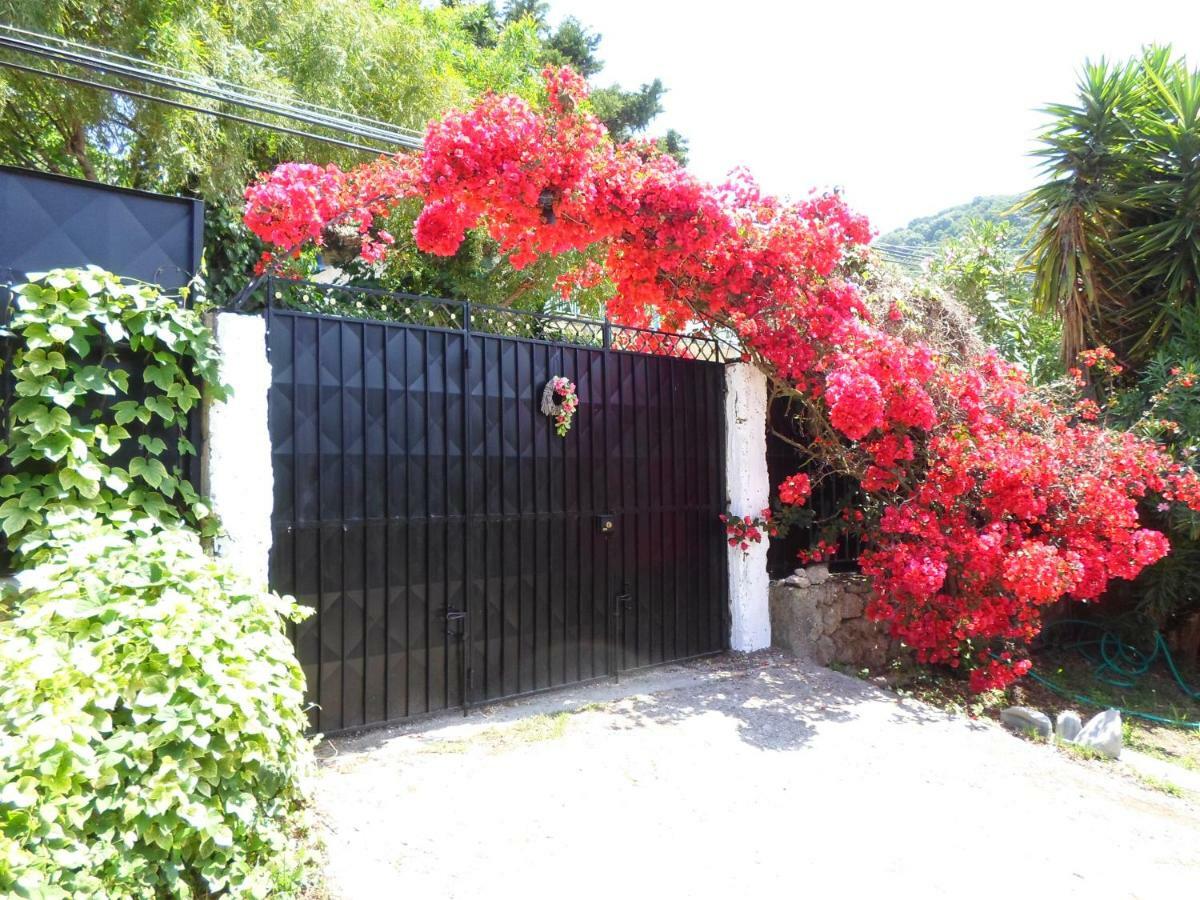 Villa Leena Paramonas  Exterior foto